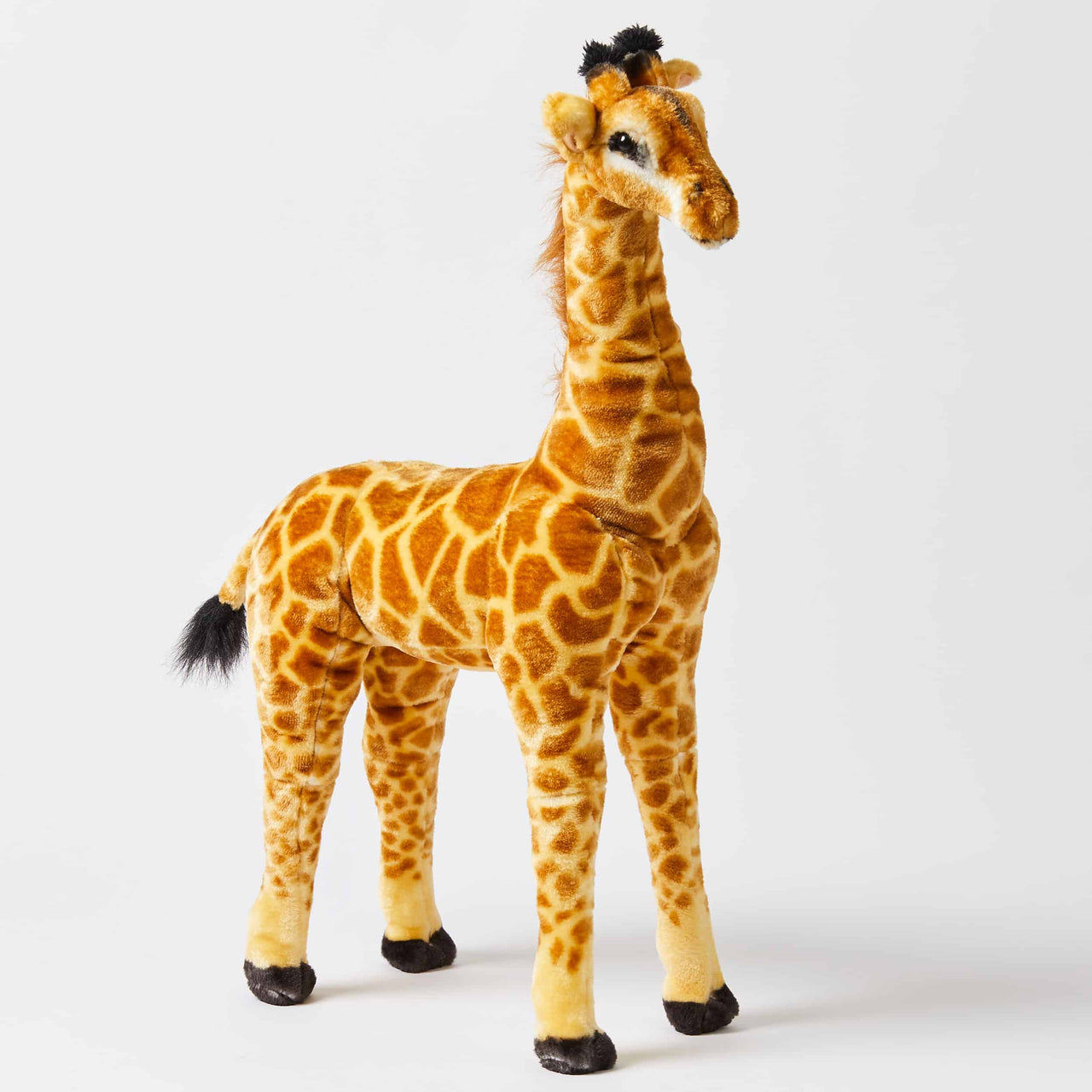 Large standing Giraffe