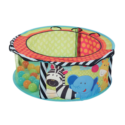 Sensory Ball Pit