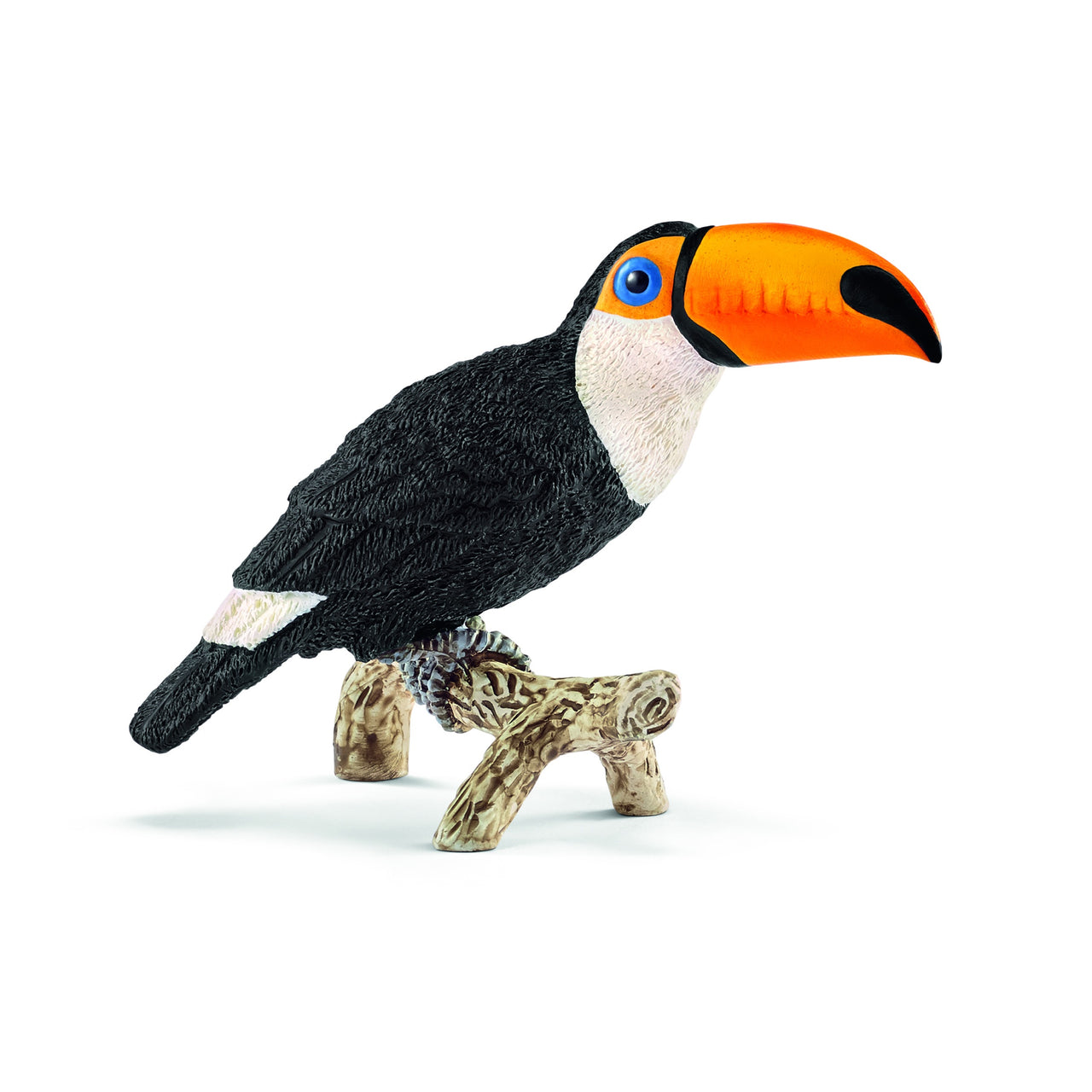 Toucan