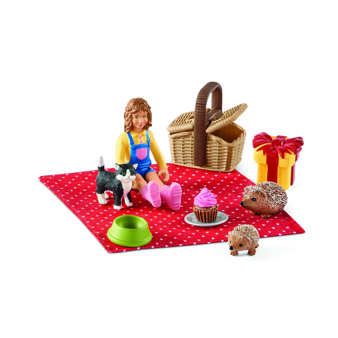 Birthday Picnic Playset