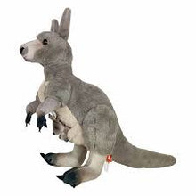 Kangaroo (Artist Collection)