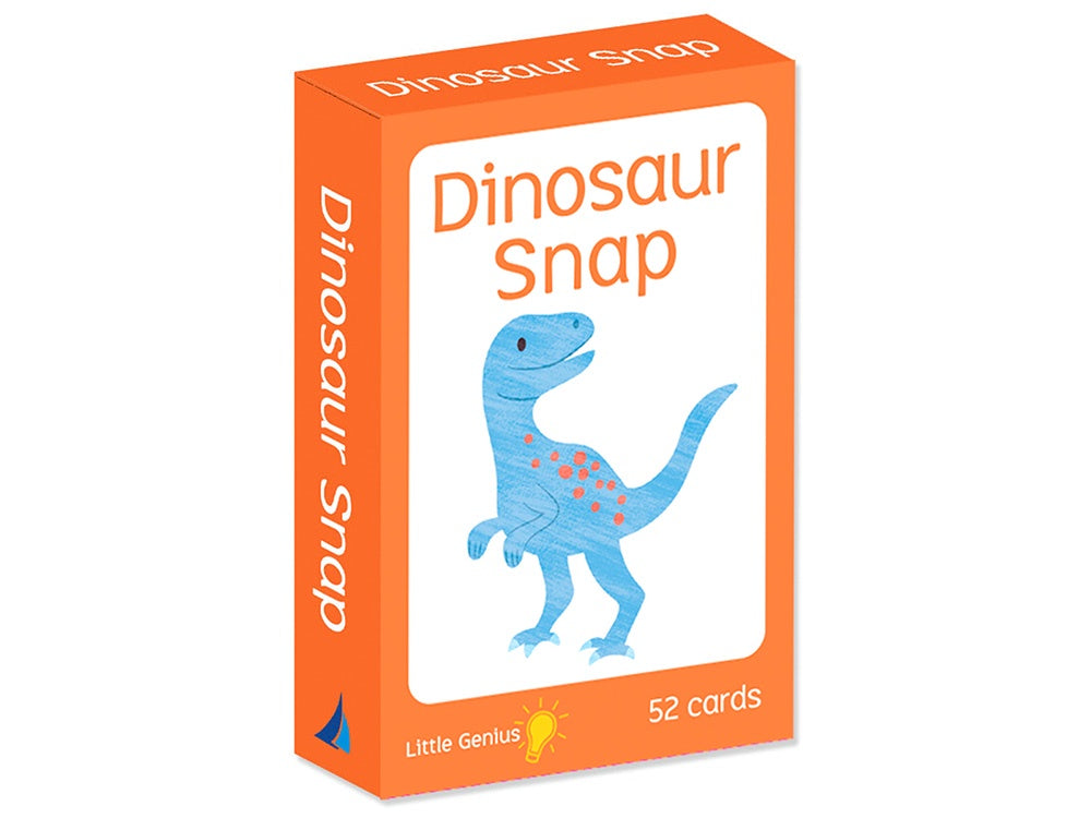 Little Genius Card Games