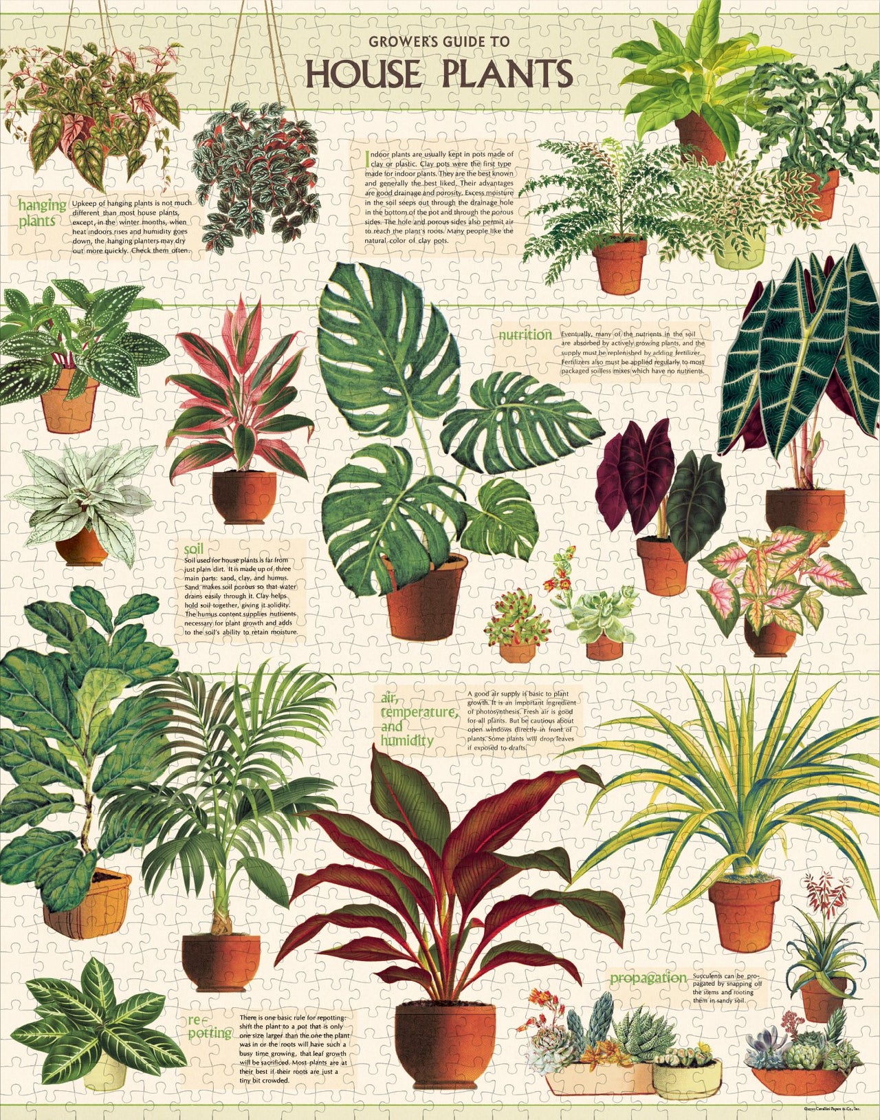 1000 pc Vintage Puzzle - House Plants