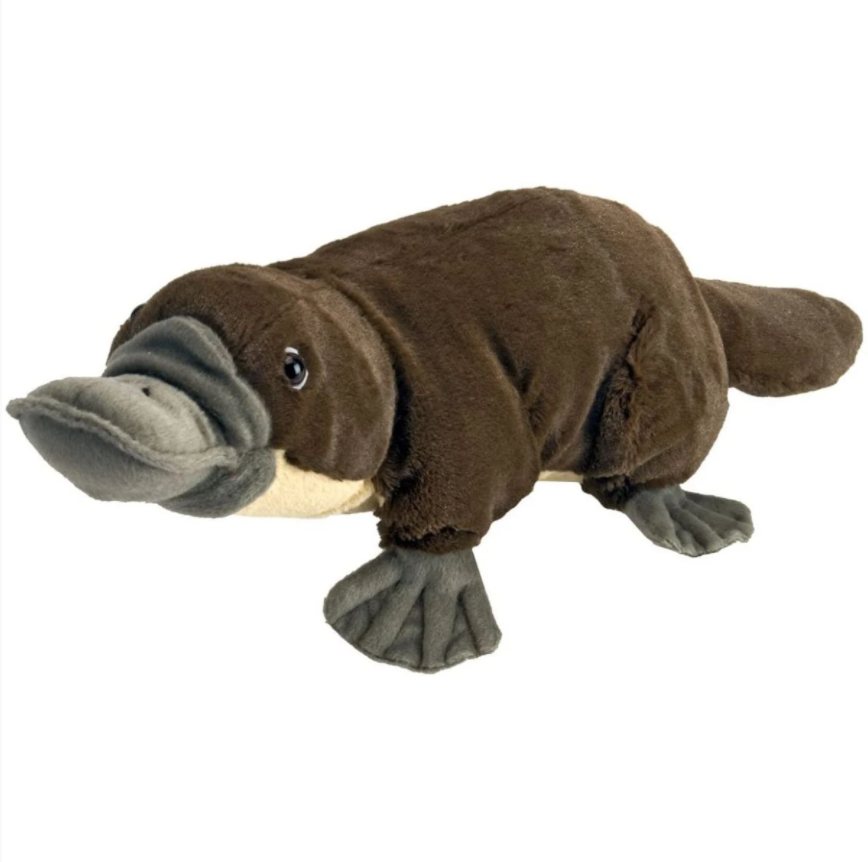 Cuddlekins Platypus - 30cm