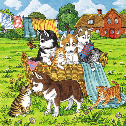 3 x 49 pc Puzzle - Cats and Dogs