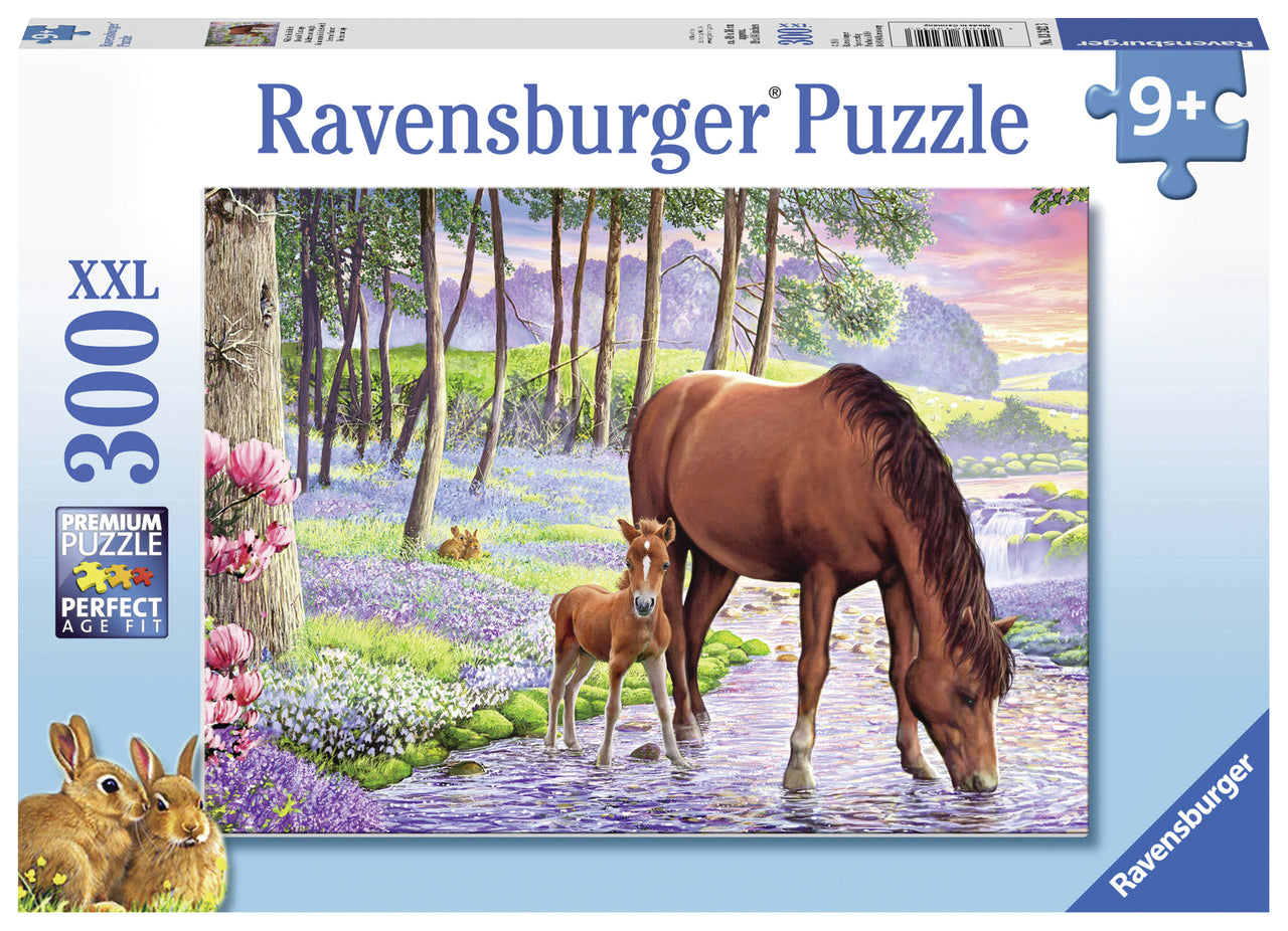 300 pc Puzzle - Serene Sunset