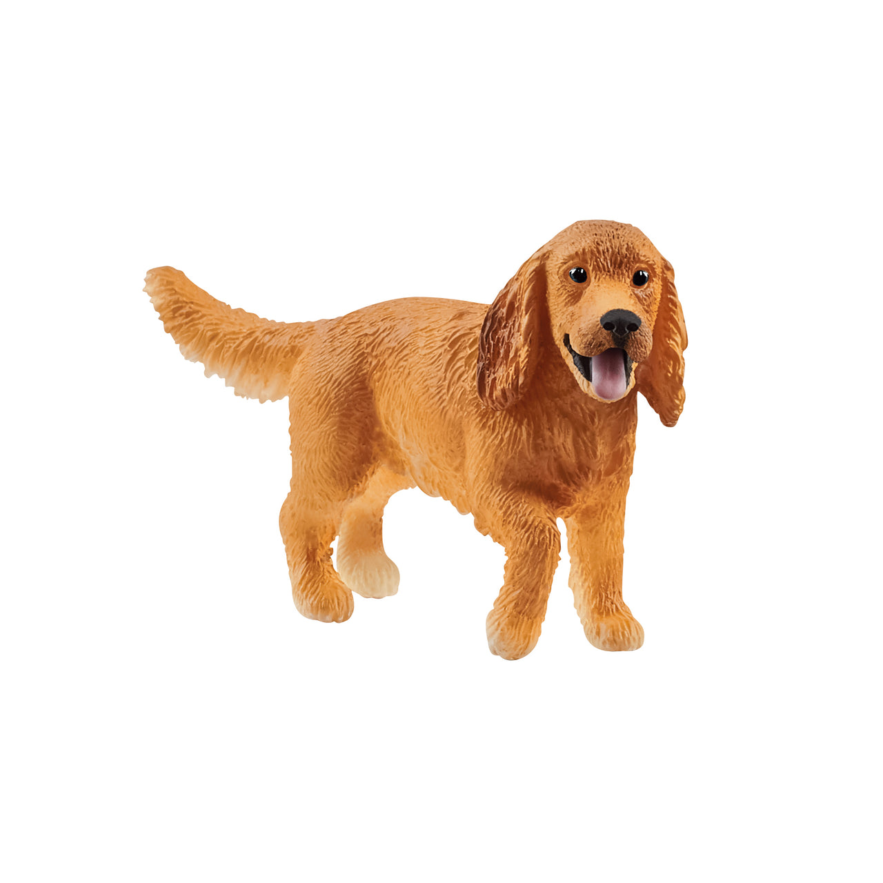 English Cocker Spaniel