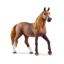 Peruvian Paso Mare