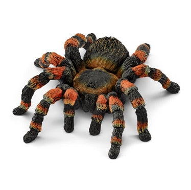 Tarantula