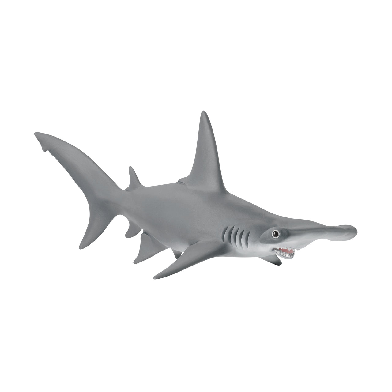 Hammerhead Shark