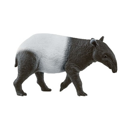 Tapir