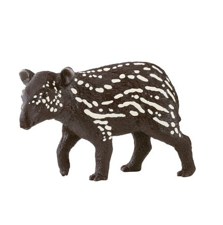 Tapir Baby