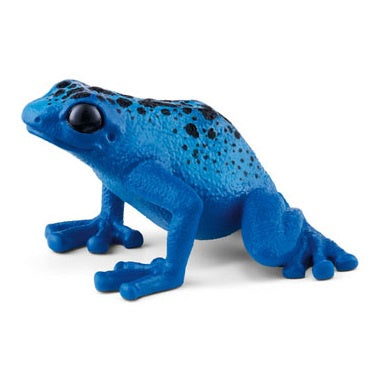 Blue Poison Dart Frog