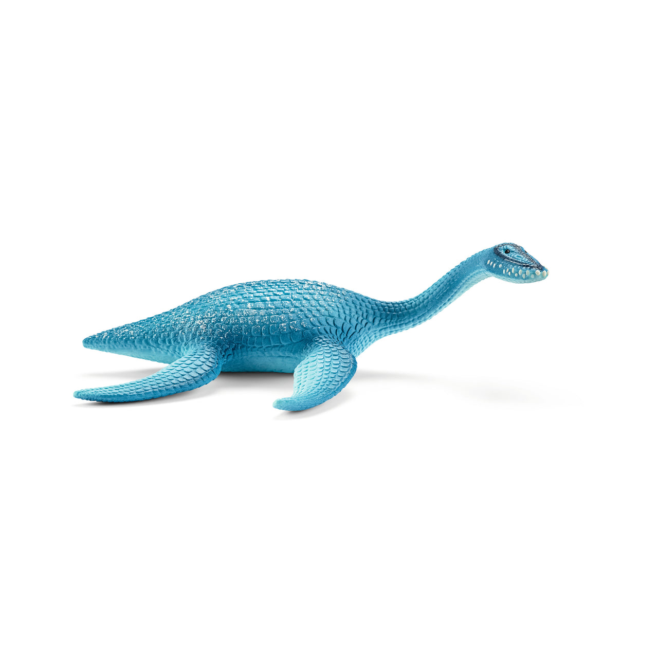 Plesiosaurus