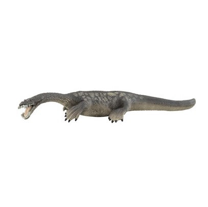 Nothosaurus