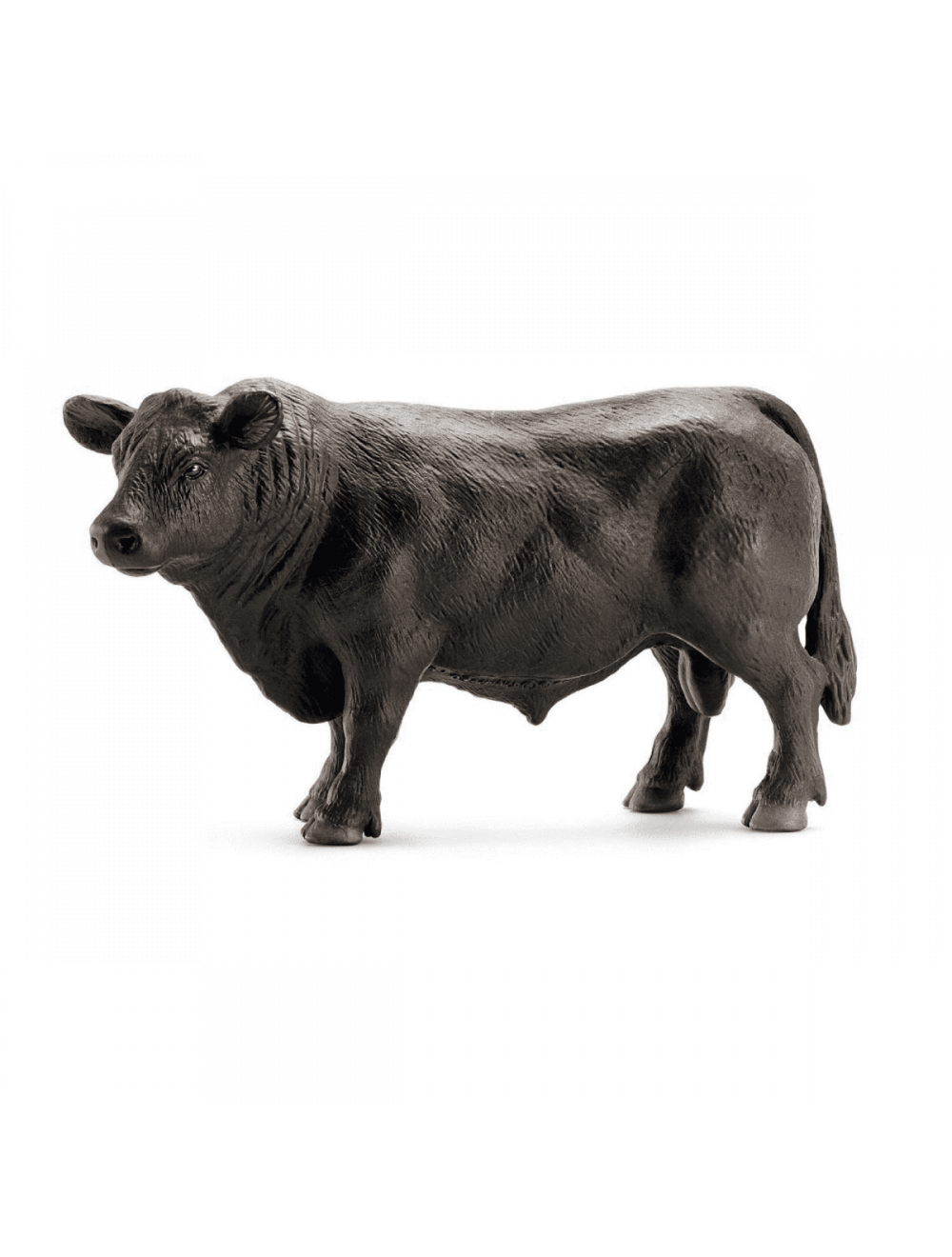 Black Cow