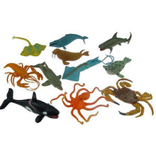 Aquatic Collection