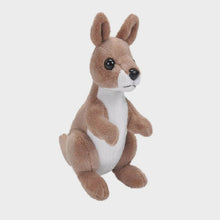 Pocket Kins - Kangaroo