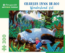 300 pc Puzzle